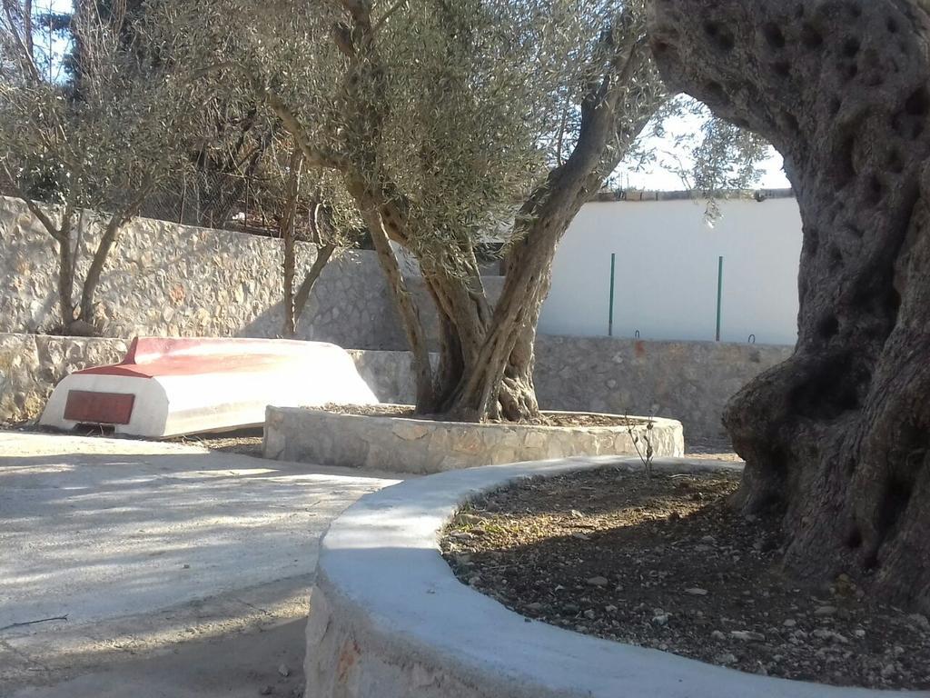 Apartman Nikocevic Dobra Voda Buitenkant foto