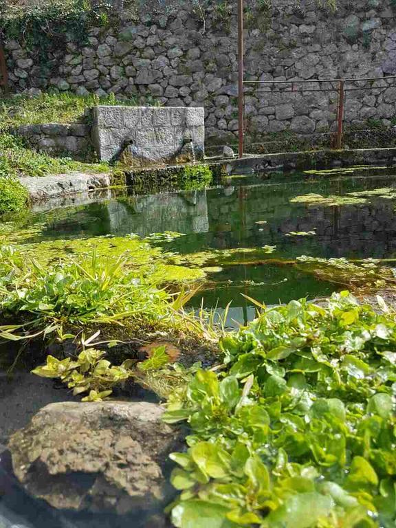 Apartman Nikocevic Dobra Voda Buitenkant foto