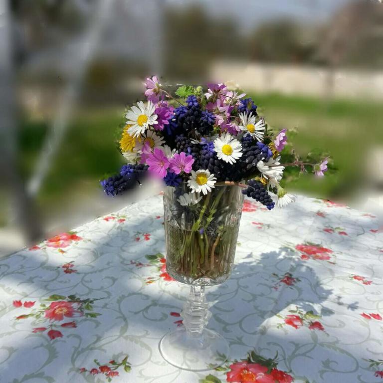Apartman Nikocevic Dobra Voda Buitenkant foto