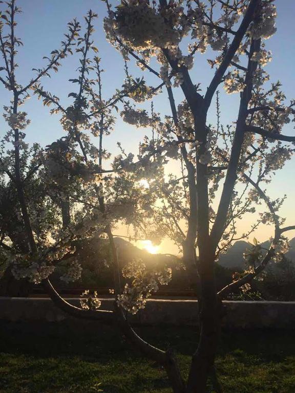 Apartman Nikocevic Dobra Voda Buitenkant foto
