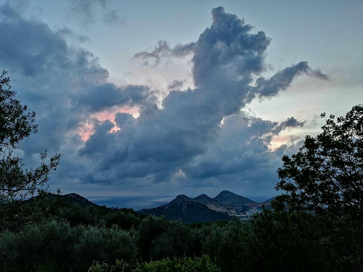 Apartman Nikocevic Dobra Voda Buitenkant foto